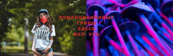ГАЛЛЮЦИНОГЕННЫЕ ГРИБЫ Беломорск