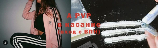 ГАЛЛЮЦИНОГЕННЫЕ ГРИБЫ Беломорск