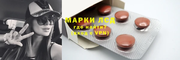 ГАЛЛЮЦИНОГЕННЫЕ ГРИБЫ Беломорск
