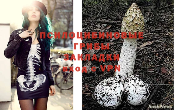 дмт Белоозёрский