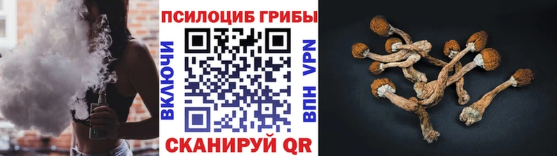 Галлюциногенные грибы мицелий где можно купить наркотик Кузнецк