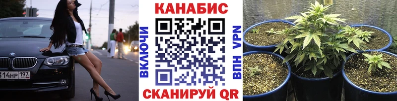 Бошки марихуана план  Кузнецк 